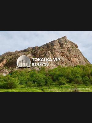 Это девушка понравилась? хотите заказать? Мухтар