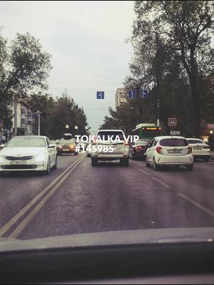 Это девушка понравилась? хотите заказать? Нурбек