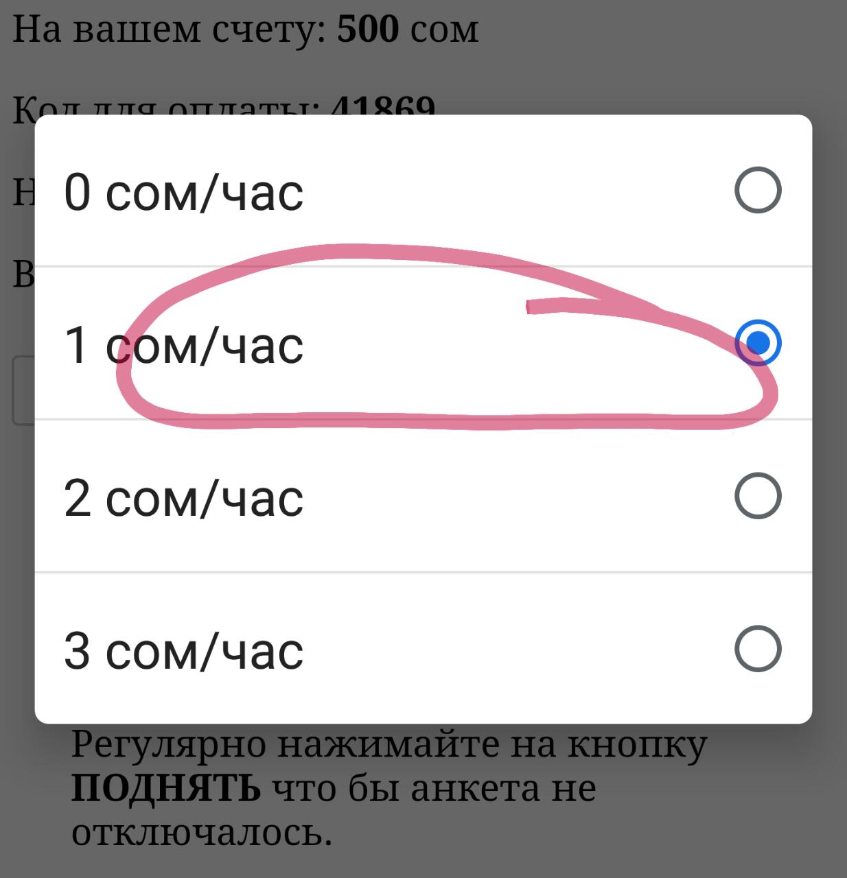 Цена анкеты